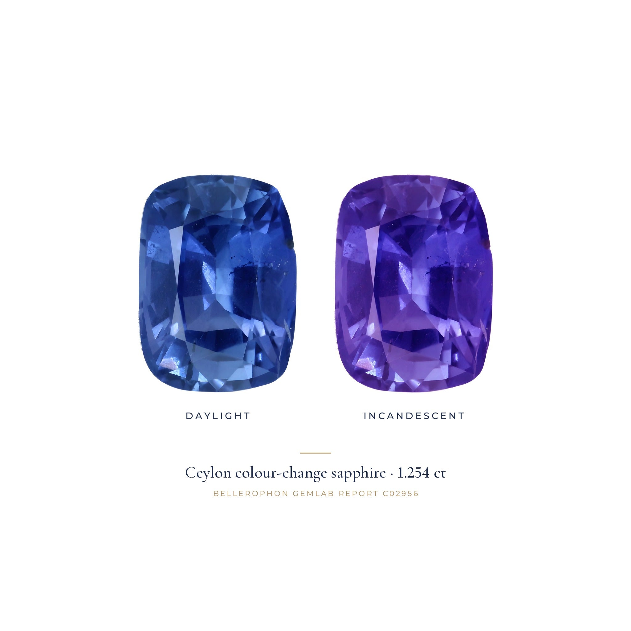 Ceylon Colour-Change Sapphire 1.254 ct — Cushion
