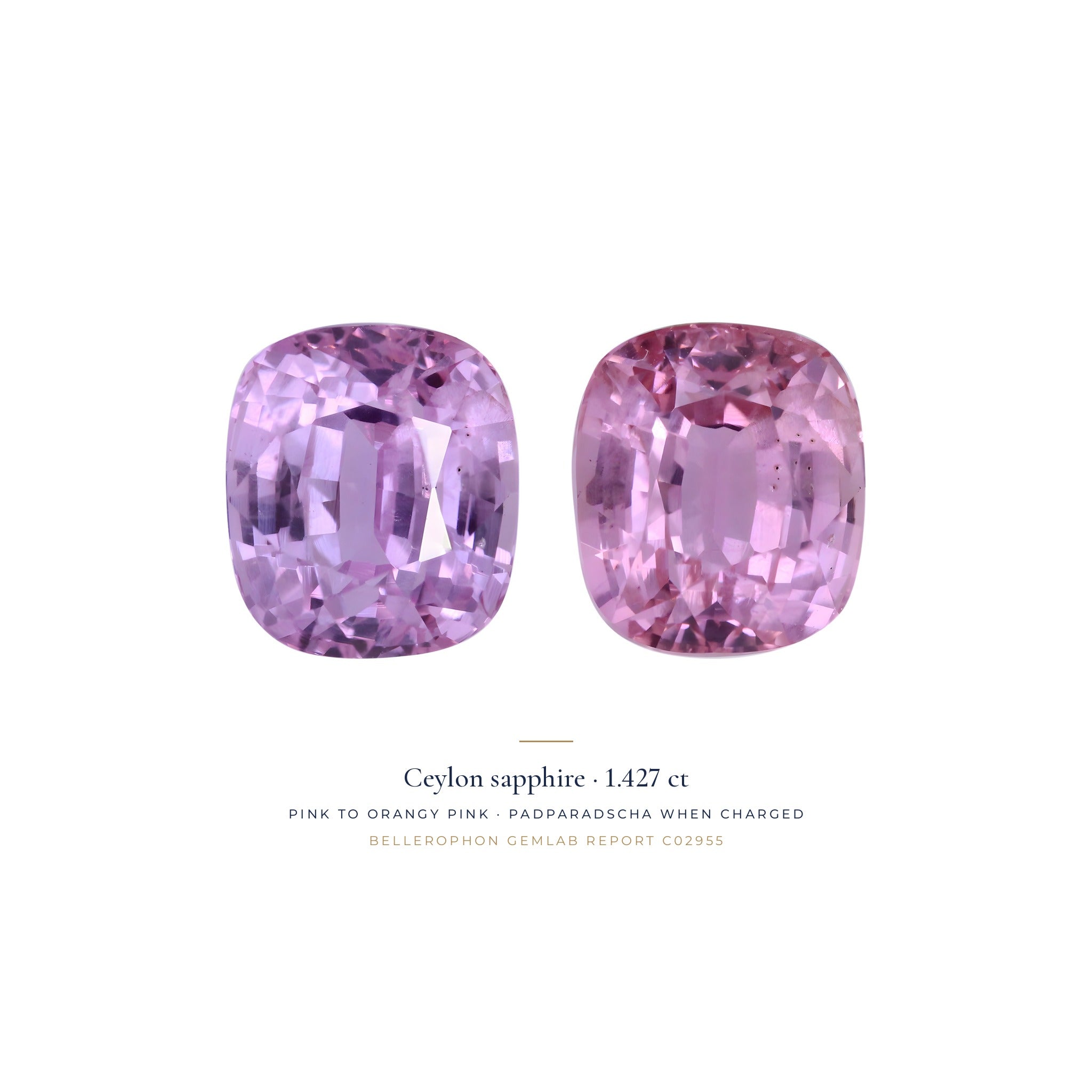 Téja Ceylon sapphire, 1.427 ct cushion, shown in two states of its reversible photochromism; padparadscha in its charged state