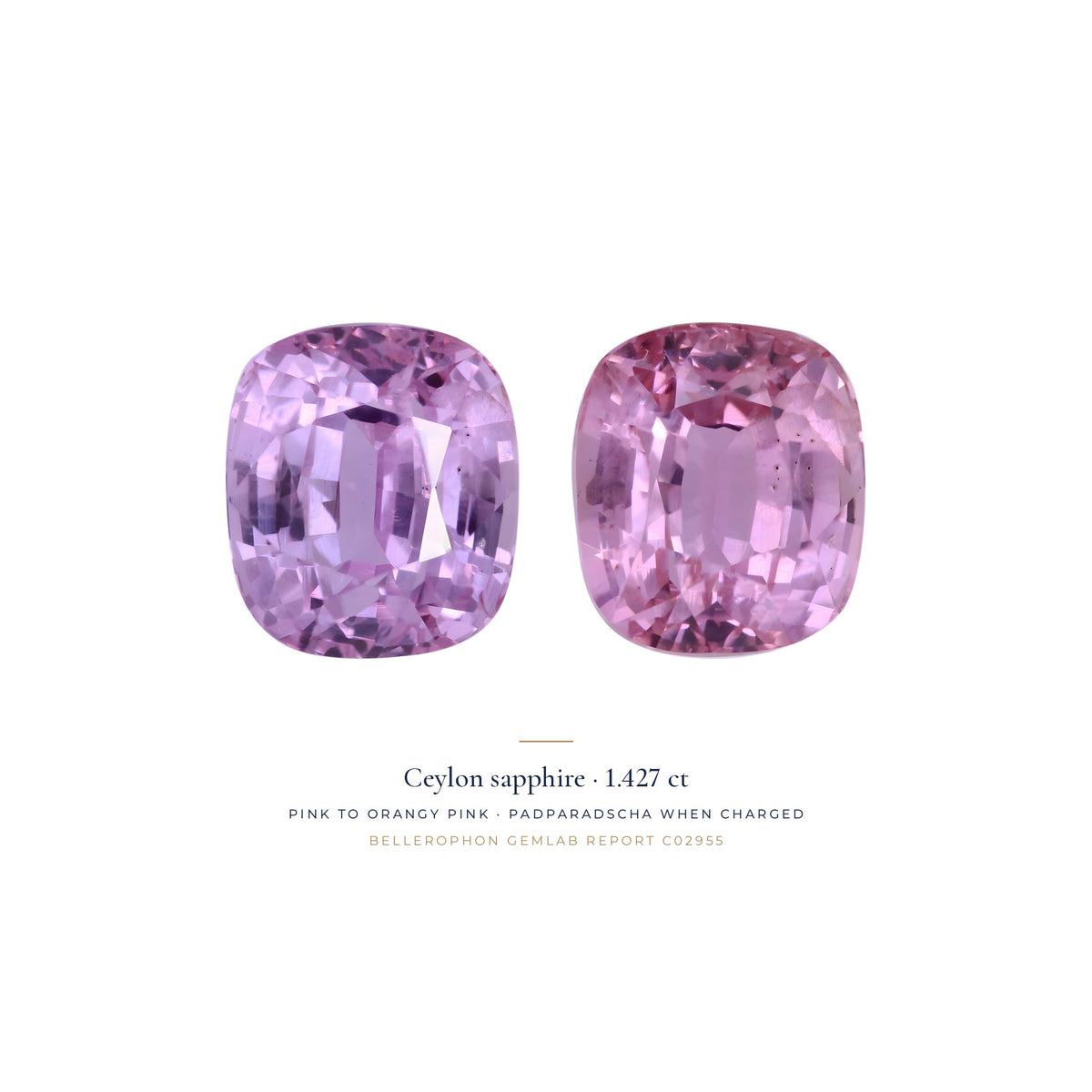Téja Ceylon sapphire, 1.427 ct cushion, shown in two states of its reversible photochromism; padparadscha in its charged state
