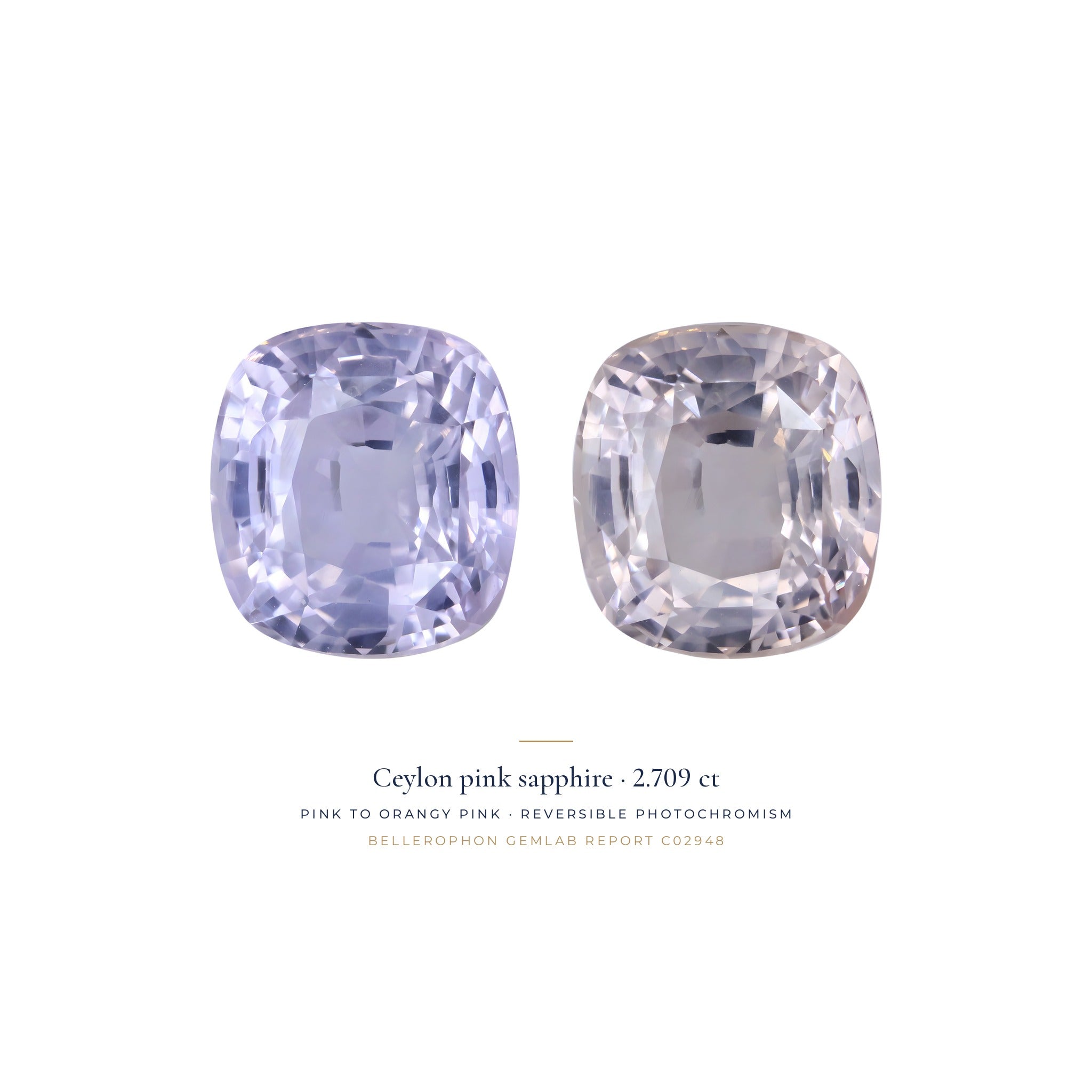 Téja Ceylon pink sapphire, 2.709 ct cushion, shown in two states of its reversible photochromism