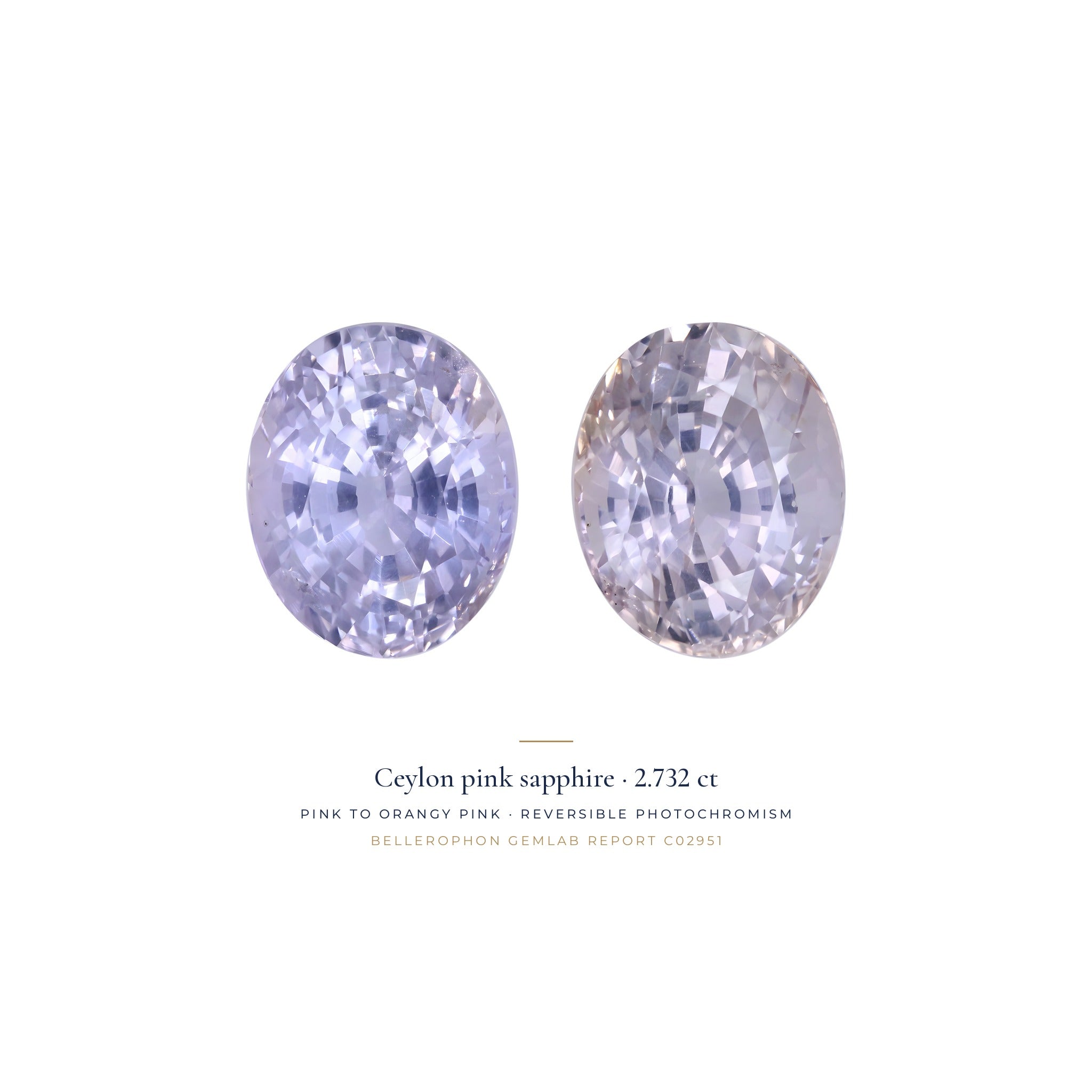 Téja Ceylon pink sapphire, 2.732 ct oval, shown in two states of its reversible photochromism