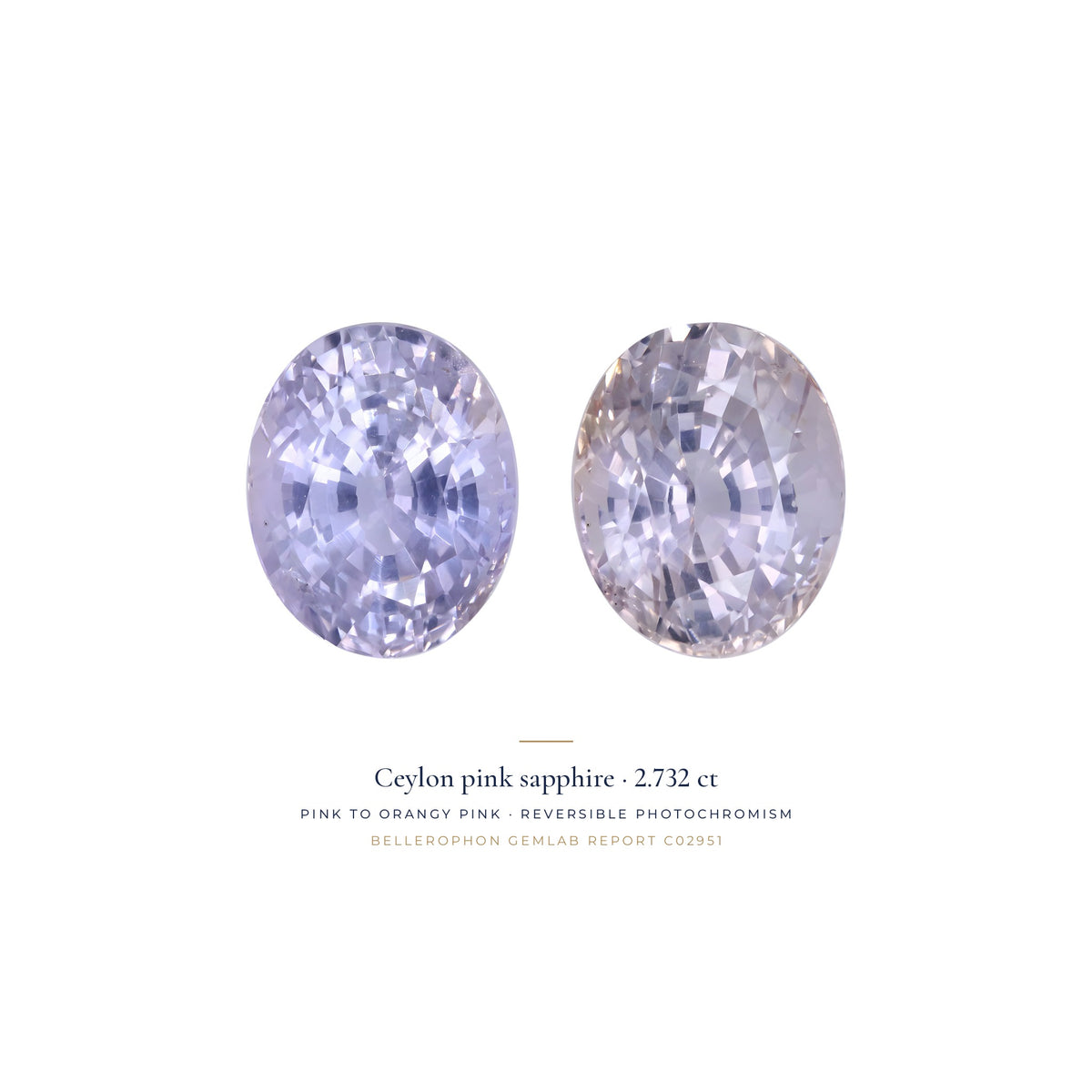 Téja Ceylon pink sapphire, 2.732 ct oval, shown in two states of its reversible photochromism