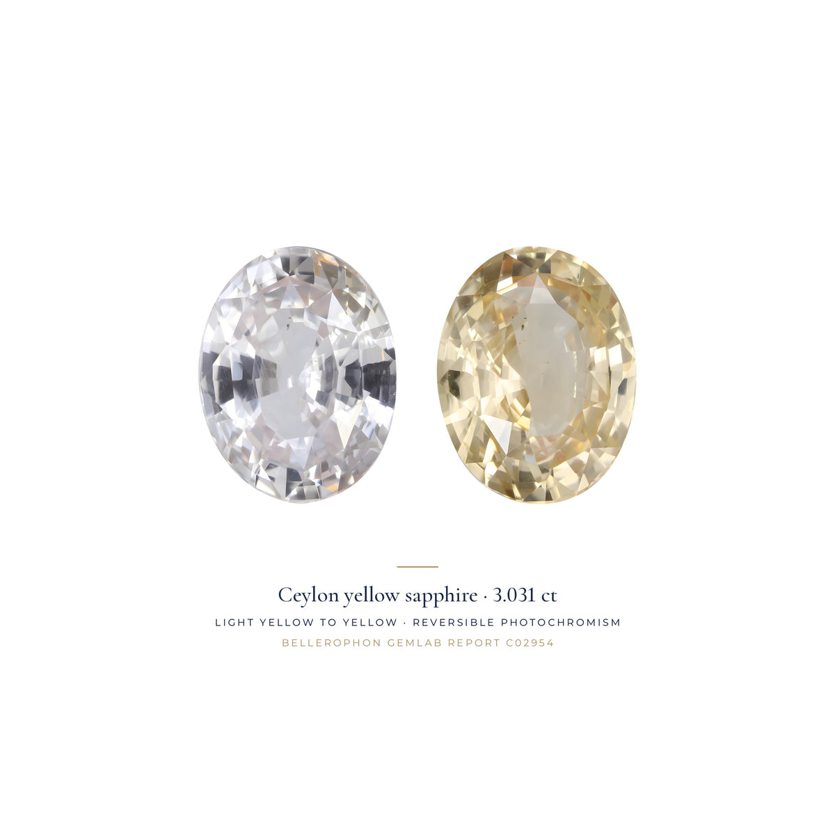 Téja Ceylon yellow sapphire, 3.031 ct oval, shown in two states of its reversible photochromism